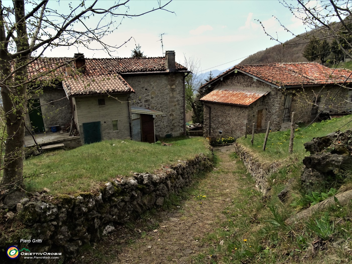 86 Alla verde radura prativa di Sonzogno (1018 m).JPG